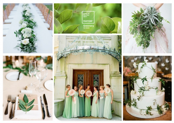 What is the PANTONE Color of the Year? What is the PANTONE Color of the Year?